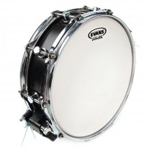 Evans Deri 12" G1Rd Trampet Kumlu Beyaz Alttan Dotlu Tek Kat (10 Mil)