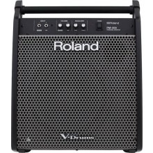 ROLAND PM-200 - 180 Watt Elektronik Davul Monitörü