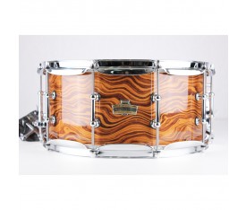 Ludwig Epic Centurian American Walnut - Maple Trampet LCEX6514TXWA