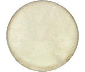 Cox Djembe Derisi 12 inç - DER-DJ12