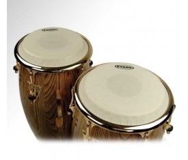 Evans EC0975 9" 3/4" Tri-Center Conga Derisi