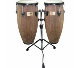 Tycoon Conga Stcs-B-Ip-D Supremo Select Island Palm Series