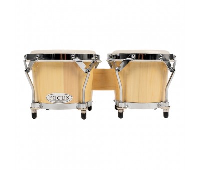 FOCUS FCB-105C Bongo
