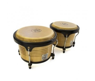 Cox BC101F-NT Naturel Bongo