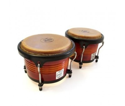 Cox BC101F-SB Bongo