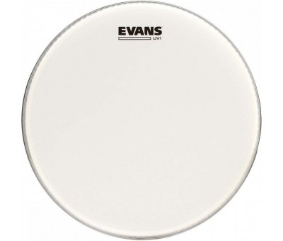 Evans BD16UV1 16" UV1 Coated Bas Davul Derisi