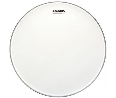 Evans B18UV1 18" UV1 Coated Tom Derisi