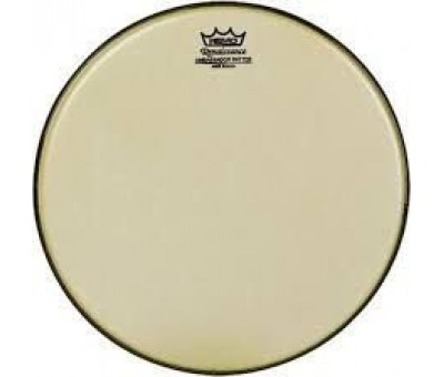 REMO RA-0014-SS- Ambassador® Renaissance® 14" Davul Derisi