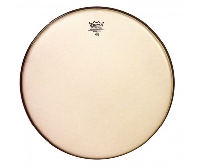 Remo Snare AMBASSADOR RENAISSANCE 10 Diameter