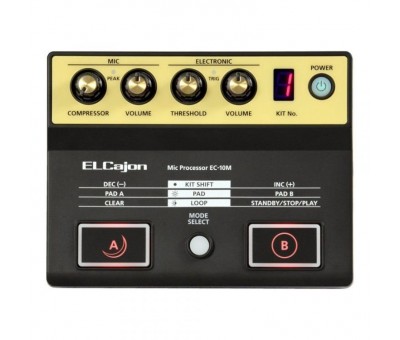 ROLAND EC-10M - ELCajon Mikrofon Prosesörü