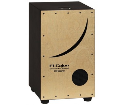 ROLAND EC-10 - El Cajon Elektronik Cajon